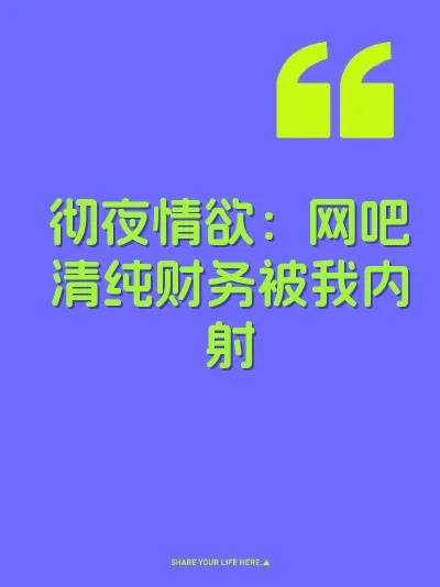 彻夜情欲：网吧清纯财务被我内射 封面