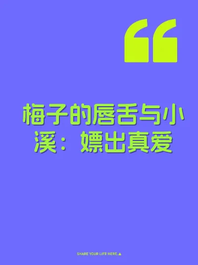 梅子的唇舌与小溪：嫖出真爱 封面