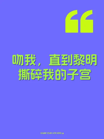 吻我，直到黎明撕碎我的子宫 封面