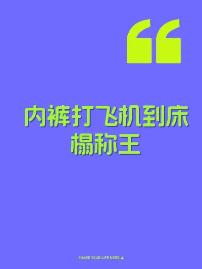 内裤打飞机到床榻称王 封面