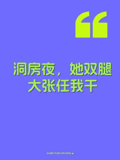 洞房夜，她双腿大张任我干 封面