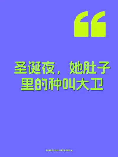 圣诞夜，她肚子里的种叫大卫 封面