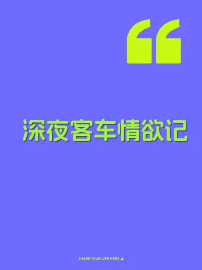 深夜客车情欲记 封面