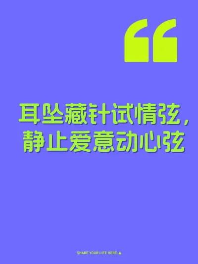 耳坠藏针试情弦，静止爱意动心弦 封面