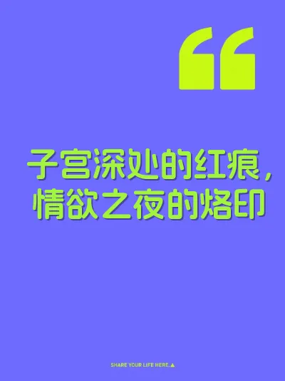 子宫深处的红痕，情欲之夜的烙印 封面