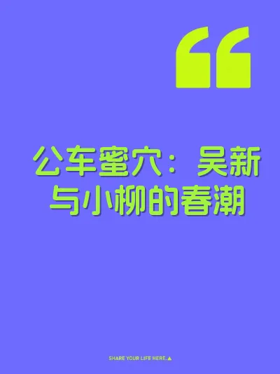 公车蜜穴：吴新与小柳的春潮 封面