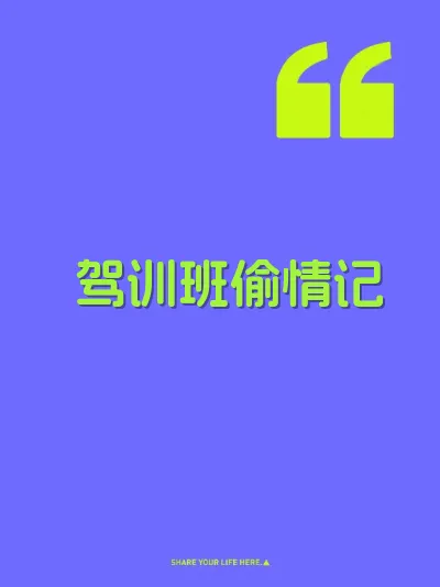 驾训班偷情记 封面