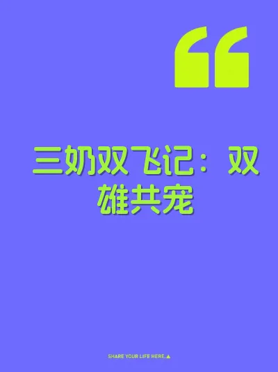 三奶双飞记：双雄共宠 封面