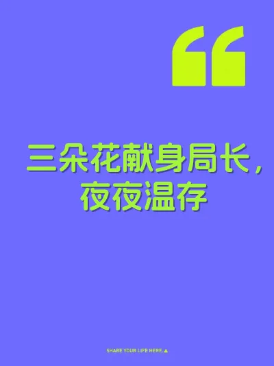 三朵花献身局长，夜夜温存 封面