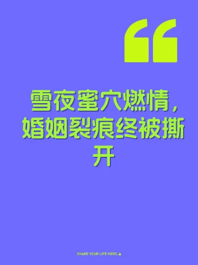 雪夜蜜穴燃情，婚姻裂痕终被撕开 封面