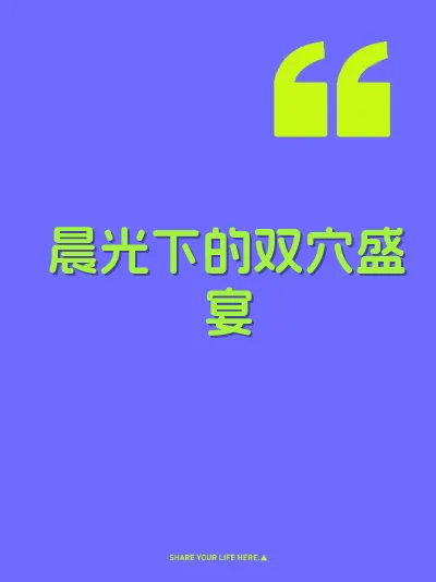 晨光下的双穴盛宴 封面
