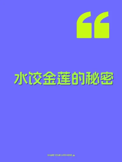 水饺金莲的秘密 封面