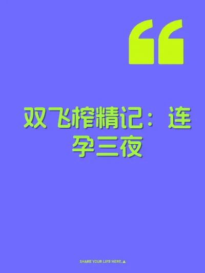 双飞榨精记：连孕三夜 封面