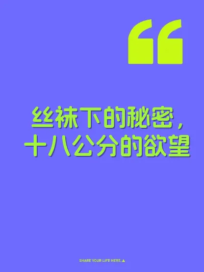 丝袜下的秘密，十八公分的欲望 封面