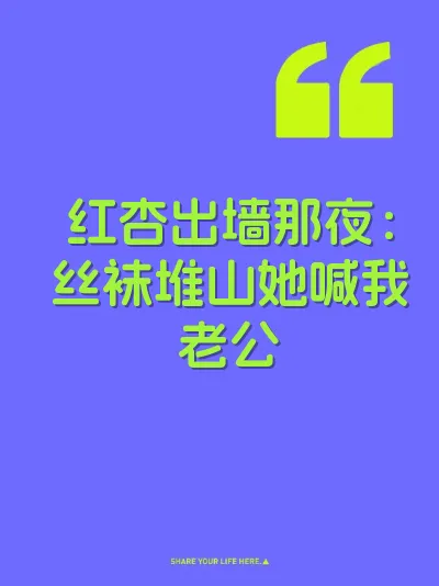 红杏出墙那夜：丝袜堆山她喊我老公 封面