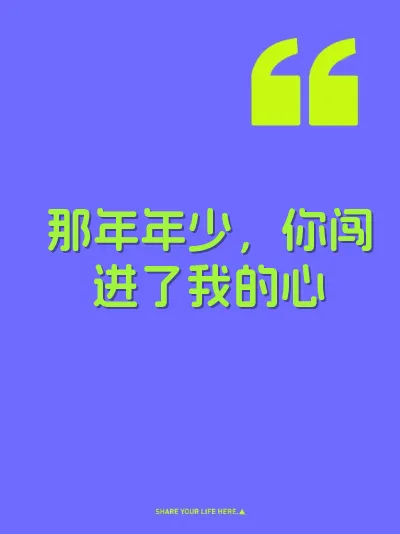 那年年少，你闯进了我的心 封面