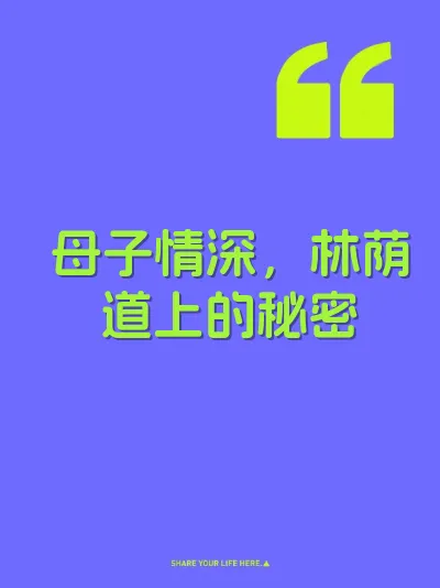 母子情深，林荫道上的秘密 封面