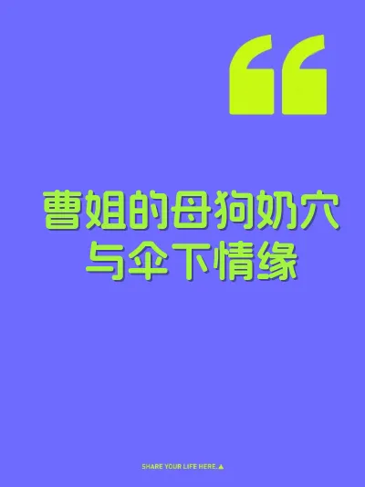 曹姐的母狗奶穴与伞下情缘 封面