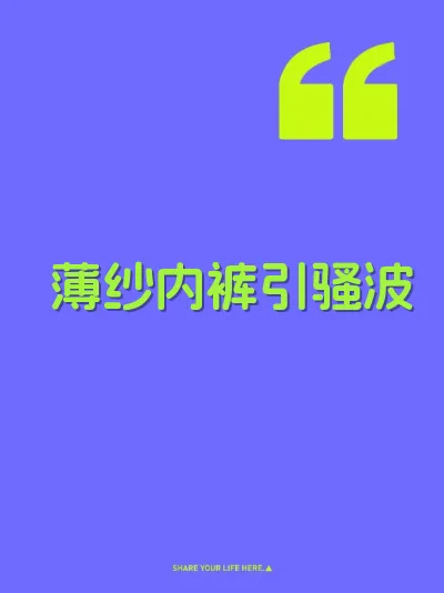 薄纱内裤引骚波 封面