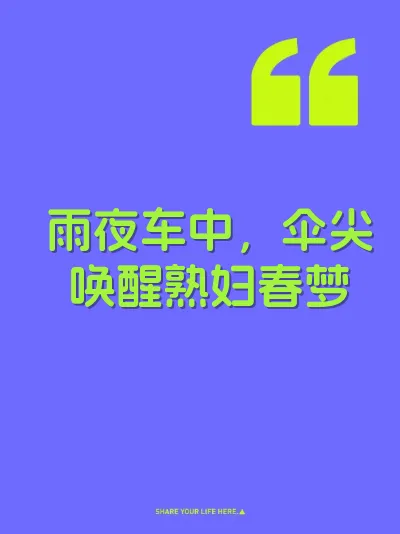 雨夜车中，伞尖唤醒熟妇春梦 封面