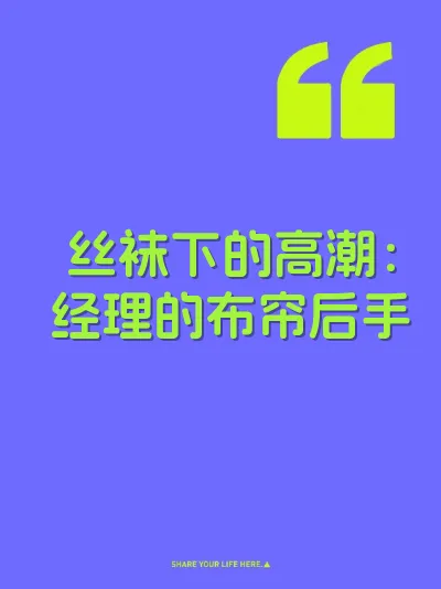 丝袜下的高潮：经理的布帘后手 封面