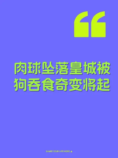 肉球坠落皇城被狗吞食奇变将起 封面