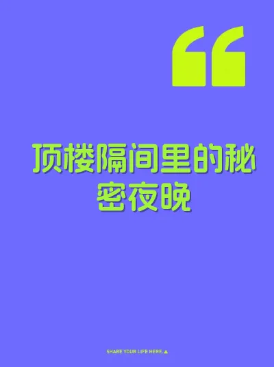 顶楼隔间里的秘密夜晚 封面