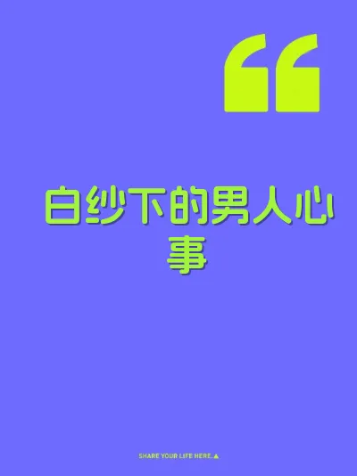 白纱下的男人心事 封面