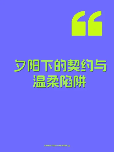 夕阳下的契约与温柔陷阱 封面