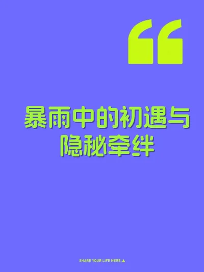 暴雨中的初遇与隐秘牵绊 封面