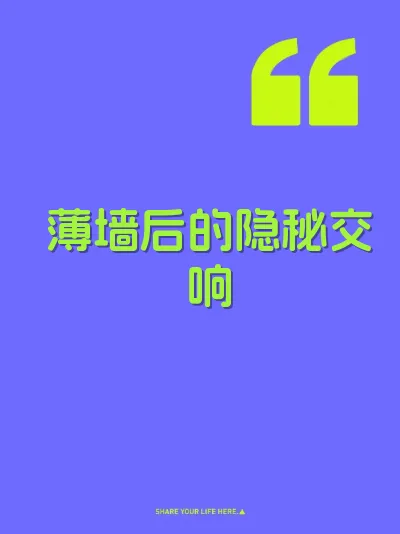 薄墙后的隐秘交响 封面