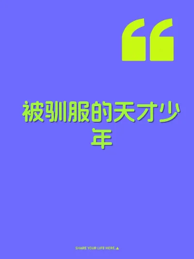 被驯服的天才少年 封面
