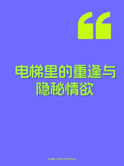 电梯里的重逢与隐秘情欲 封面