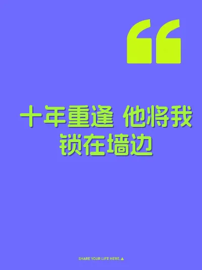 十年重逢 他将我锁在墙边 封面