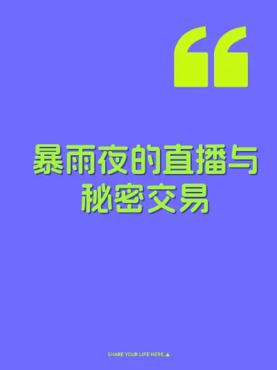 暴雨夜的直播与秘密交易 封面