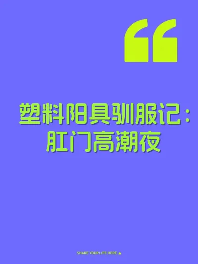 塑料阳具驯服记：肛门高潮夜 封面