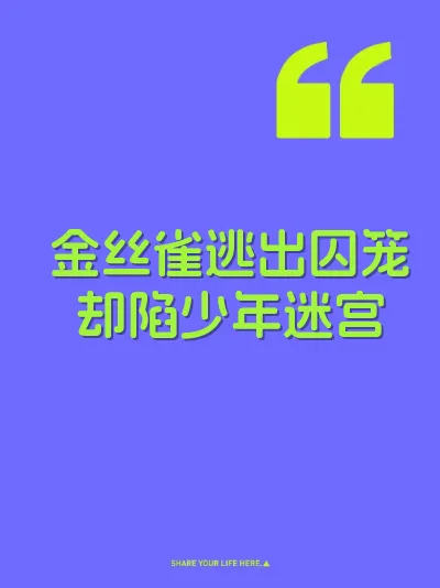 金丝雀逃出囚笼却陷少年迷宫 封面