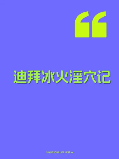迪拜冰火淫穴记 封面
